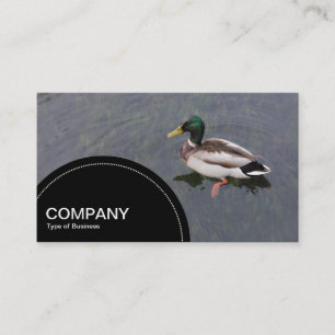 Semi-circle Panel (dots) - Duck Pond Business Card