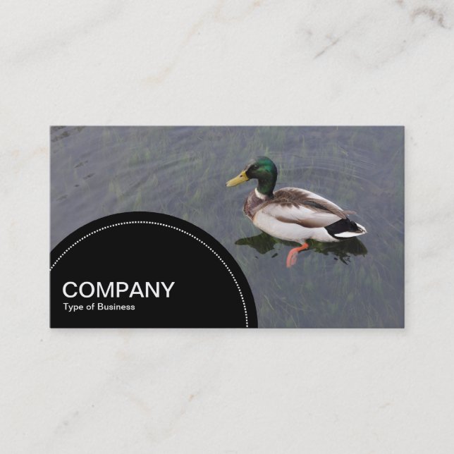 Semi-circle Panel (dots) -  Duck Pond Business Card (Front)