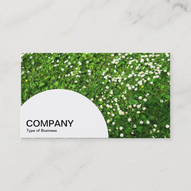 Semi-circle Panel - Grass and Daisies Business Card (Front)