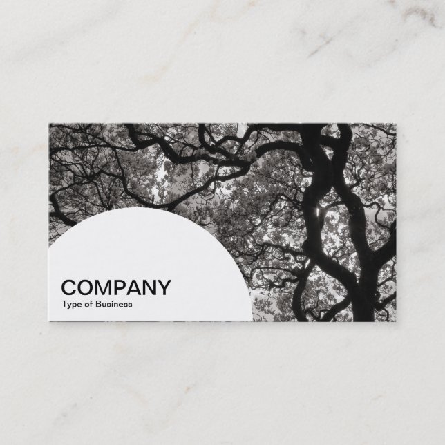 Semi-circle Panel - Magnolia Tree 02 Business Card (Front)