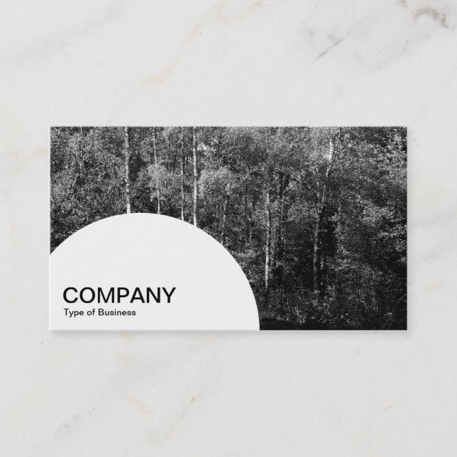 Semi-circle Panel - Silver Birch Business Card (Front)