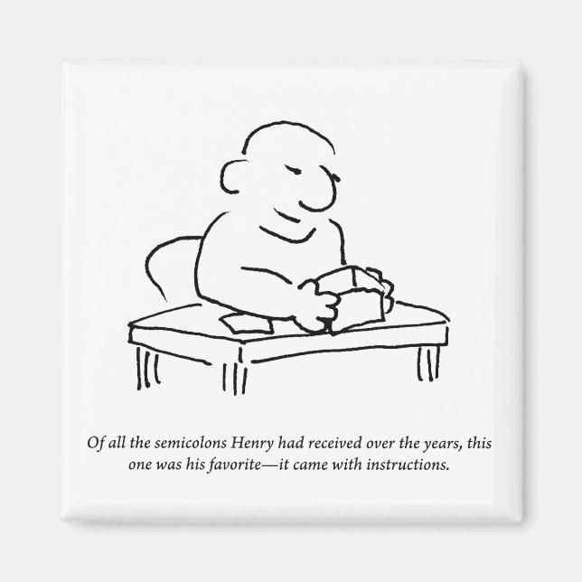 Semicolon Instructions Magnet (Front)