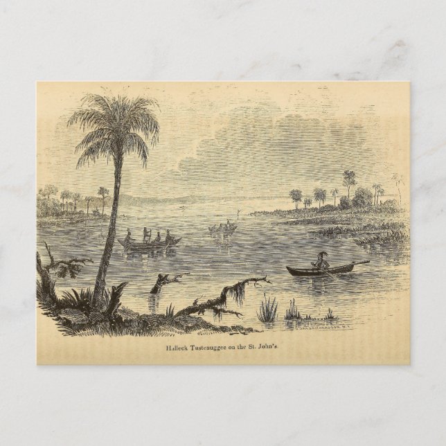 Seminoles on the St. Johns River Postcard (Front)