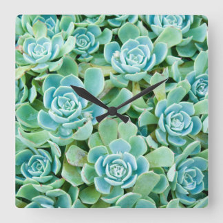 Sempervivum Square Wall Clock