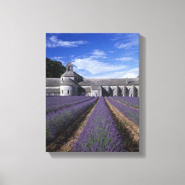 Senanque Abbey, Gordes, Vaucluse, Provence, Canvas Print (Front)