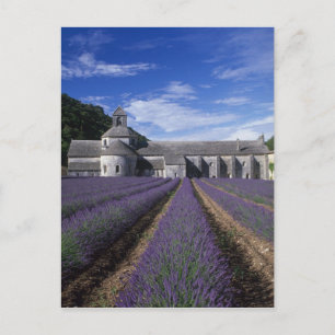 Senanque Abbey, Gordes, Vaucluse, Provence Postcard