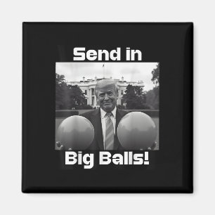 Send In Big , President Trump And Doge  Magnet