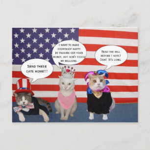 Send these cats home! postcard