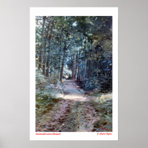 Sendero/Corredoira/Footpath Poster