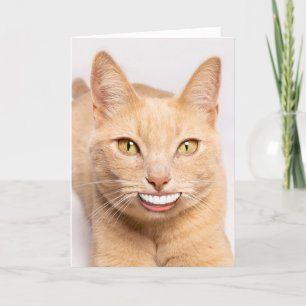 Sending a Smile Funny Cat with Human Teeth Holiday Card