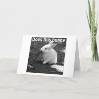 SENDING CUTE BUNNY TO SAY SORRY MISSED BIRTHDAY