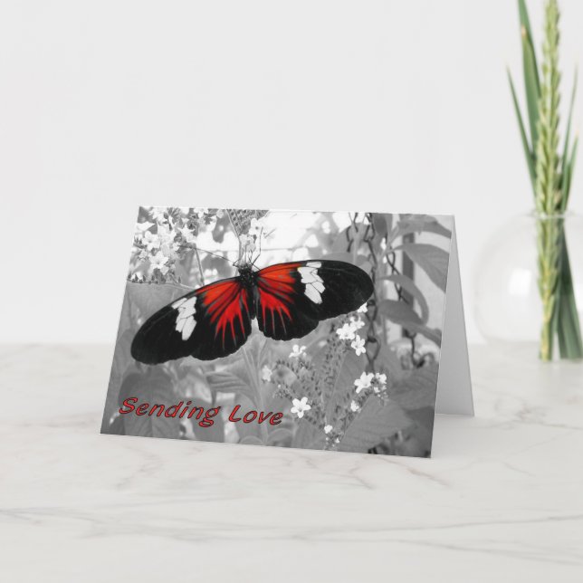 Sending Love Card via Carrier Butterfly (Front)