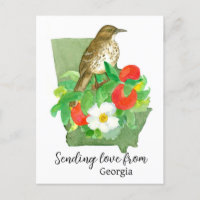 Sending Love From Georgia Bird Peach Rose