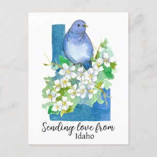 Sending Love From Idaho Bluebird Syringa Postcard
