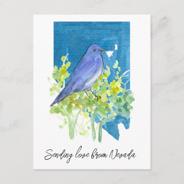 Sending Love Nevada Bluebird Sagebrush Postcard (Front)