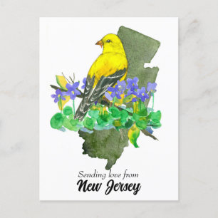 Sending Love New Jersey Goldfinch Violets Postcard