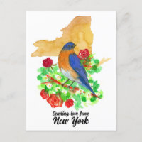 Sending Love New York Bluebird Red Roses