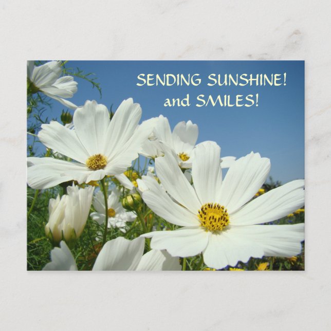 SENDING SUNSHINE & Smiles! Postcard Valentines (Front)