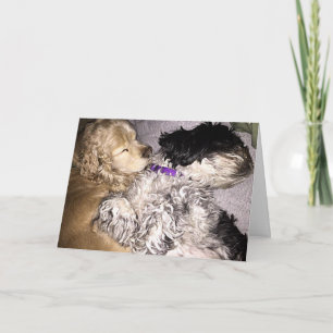 SENDING WISHES WHILE WE NAP ON YOUR BIRTHDAY CARD