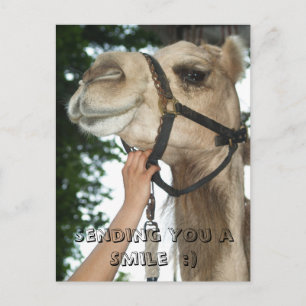 Sending You a Smile :) Postcard
