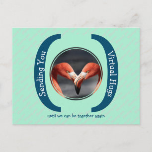 SENDING YOU VIRTUAL HUGS Photo Template MINT Postcard