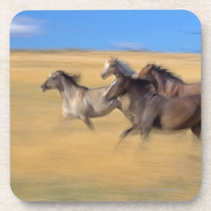 Seneca, Oregon, USA Coaster