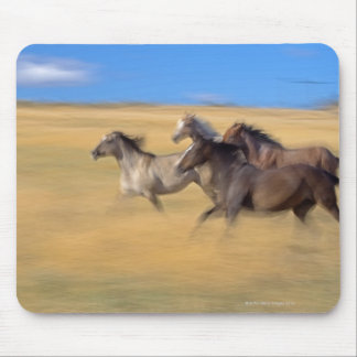 Seneca, Oregon, USA Mouse Pad