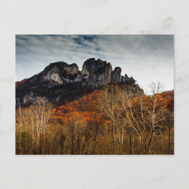Seneca Rocks in Fall, West Virginia Postcard (Front)
