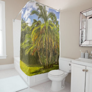 Senegal Date Palm Shower Curtain