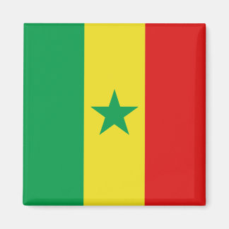Senegal Flag Magnet