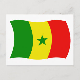 Senegal Flag Postcard