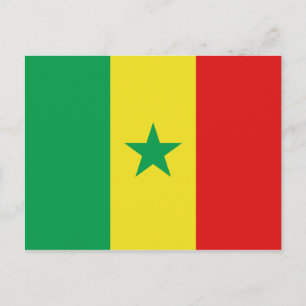 Senegal Flag Postcard