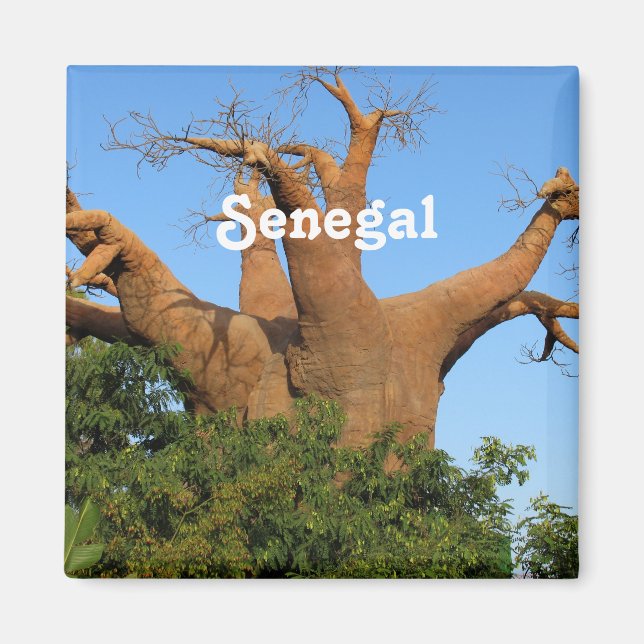 Senegal Magnet (Front)