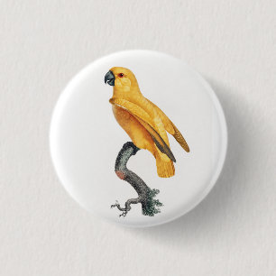 Senegal Parrot 1 Inch Round Button