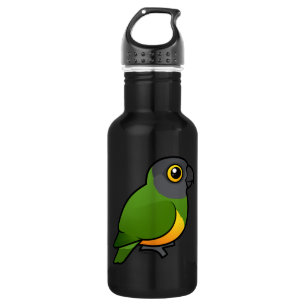 Senegal Parrot 532 Ml Water Bottle