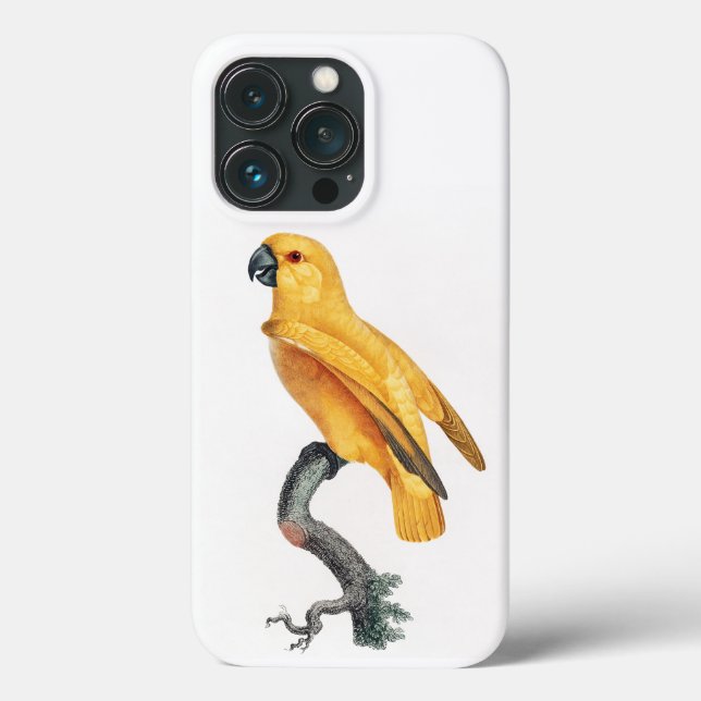 Senegal Parrot Case-Mate iPhone Case (Back)