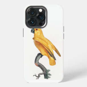 Senegal Parrot iPhone 13 Pro Case