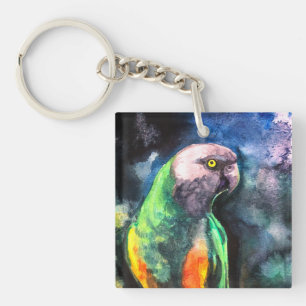 Senegal Parrot  Keychain