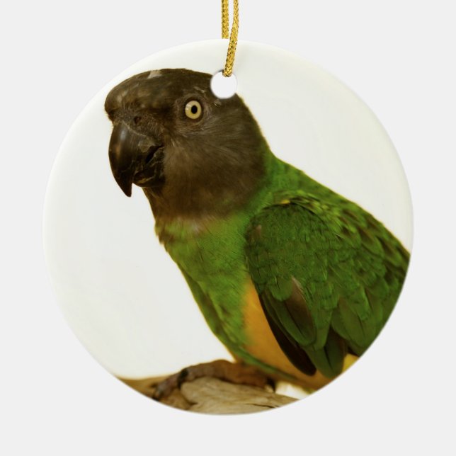 Senegal Parrot Ornament (Front)