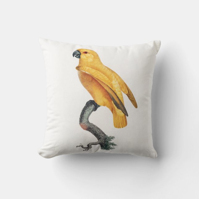 Senegal Parrot Throw Pillow (Front)