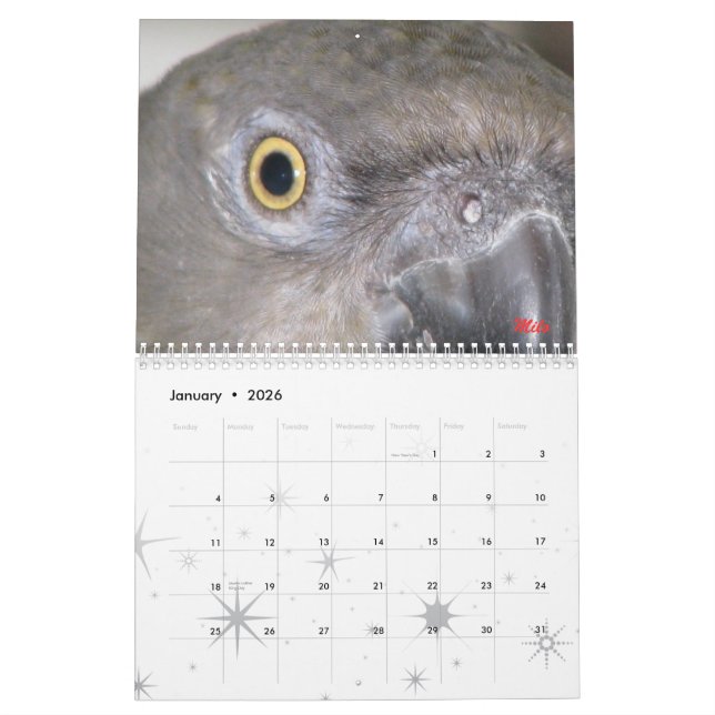 Senegals 2009 Calendar - Customized (Jan 2026)