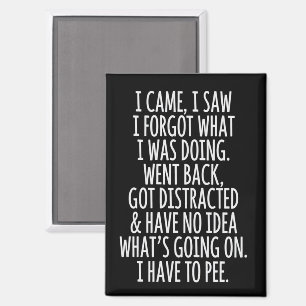 Senior Citizen I Came I Saw I Forgot What I Was  Magnet