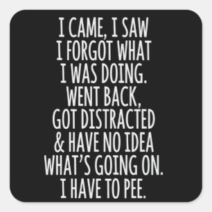 Senior Citizen I Came I Saw I Forgot What I Was  Square Sticker