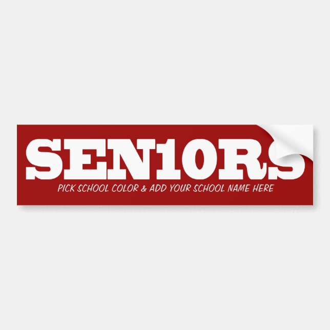 Seniors_Pick colour and add School 2010 Bumper Sticker (Front)