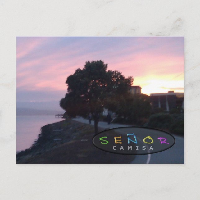 Señor Camisa Creative Sunrise Postcard (Front)