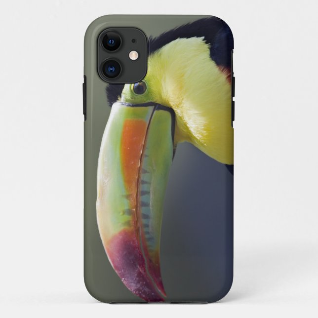 Senor Tuco iPhone 5 Case-Mate Case (Back)