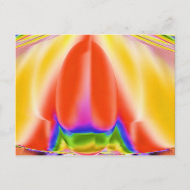 Sensual Rose Bud Postcard (Front)