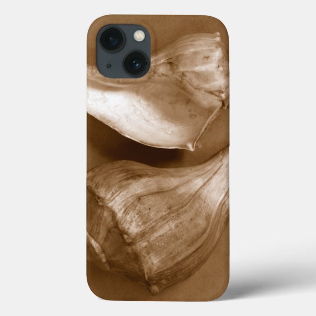 Sensual Shells Case-Mate iPhone Case (Back)