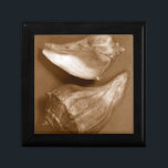 Sensual Shells Gift Box<br><div class="desc">Renee W. Stramel captures these conch shells in a beautiful sepia tone. This vintage piece of art is a perfect addition to any sea anemone lovers. Get your art print today on your product.</div>
