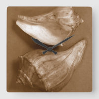 Sensual Shells